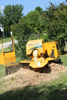 487141